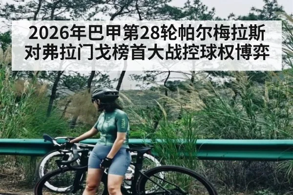 2026年巴甲第28轮帕尔梅拉斯对弗拉门戈榜首大战控球权博弈